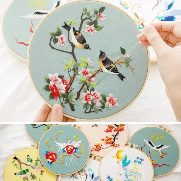 Embroidery Kits: Starter Set with Stamped Pattern & Hoop